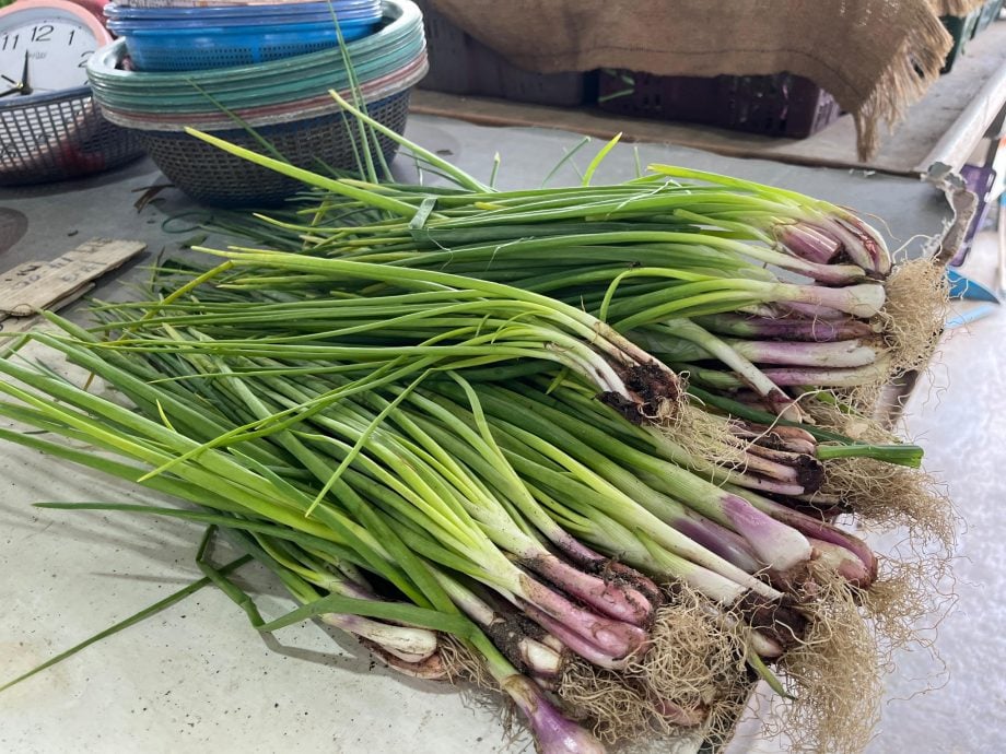 霹:第二版头∕天气利好百“菜”齐放 叶瓜豆地下茎蔬菜便宜