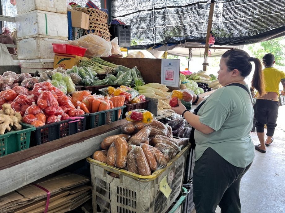 霹:第二版头∕天气利好百“菜”齐放 叶瓜豆地下茎蔬菜便宜