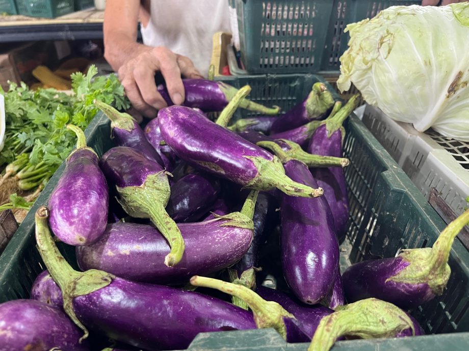 霹:第二版头∕天气利好百“菜”齐放 叶瓜豆地下茎蔬菜便宜