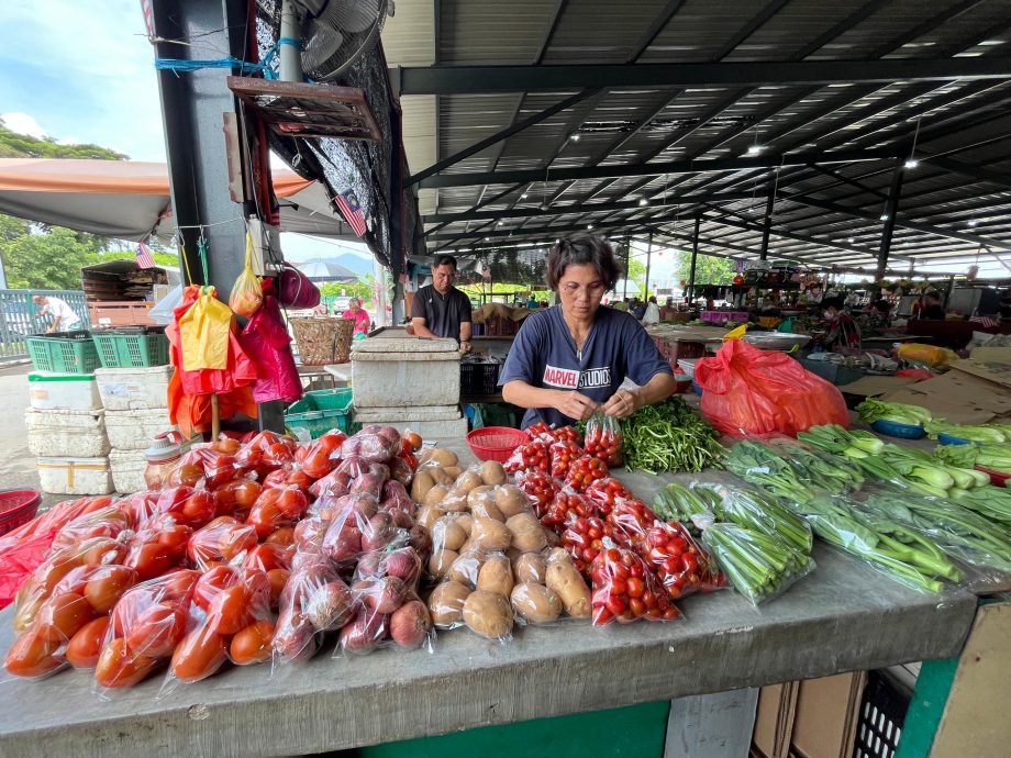 霹:第二版头∕天气利好百“菜”齐放 叶瓜豆地下茎蔬菜便宜