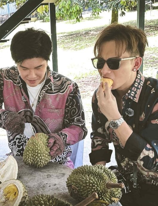 黎耀祥有惊喜送胡定欣 张与辰周吉佩组团游马