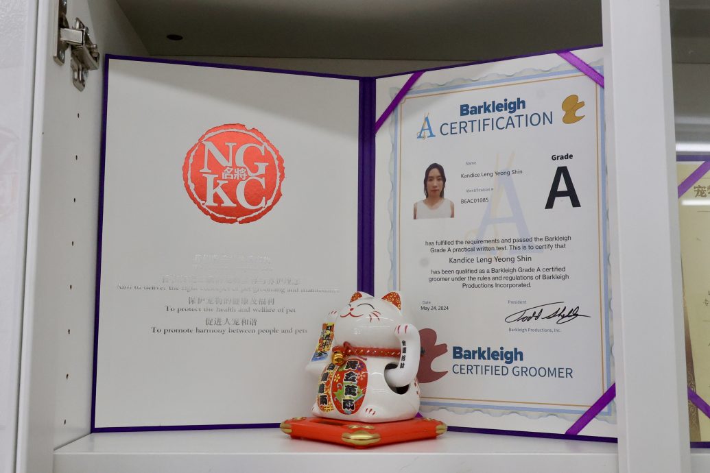 (15/10见报)大都会-特职世界 凌咏欣-宠物美容导师/14图