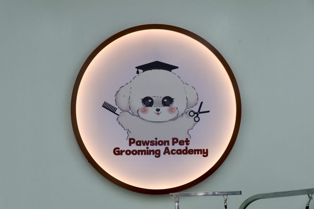 (15/10见报)大都会-特职世界 凌咏欣-宠物美容导师/14图