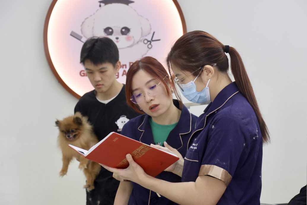 (15/10见报)大都会-特职世界 凌咏欣-宠物美容导师/14图