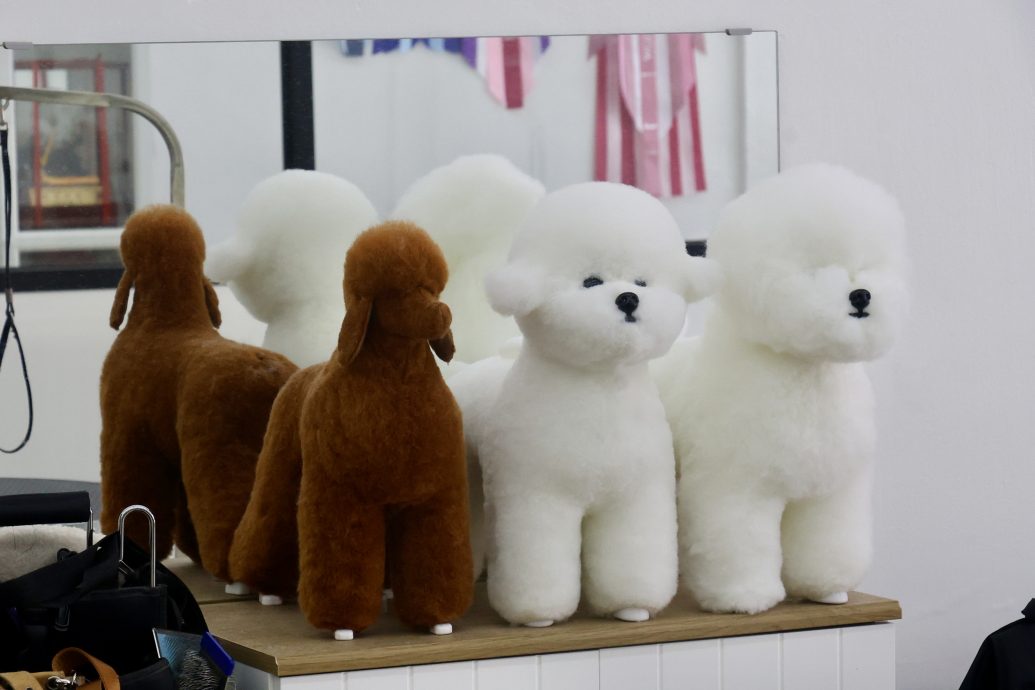 (15/10见报)大都会-特职世界 凌咏欣-宠物美容导师/14图