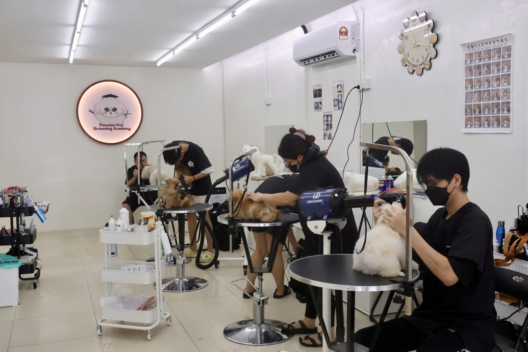 (15/10见报)大都会-特职世界 凌咏欣-宠物美容导师/14图