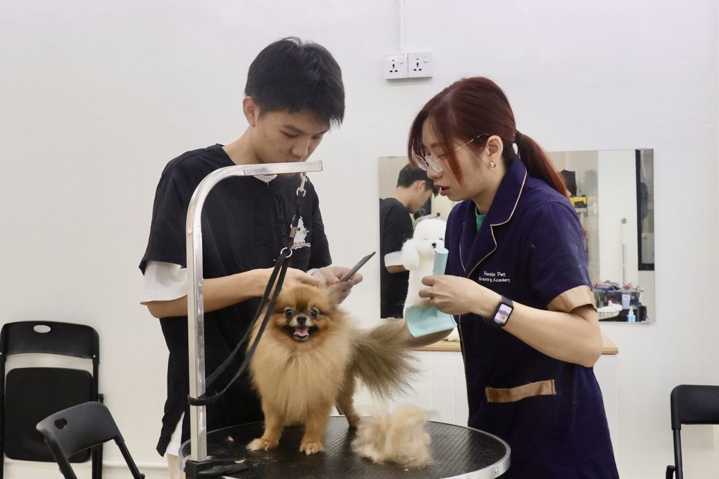 (15/10见报)大都会-特职世界 凌咏欣-宠物美容导师/14图