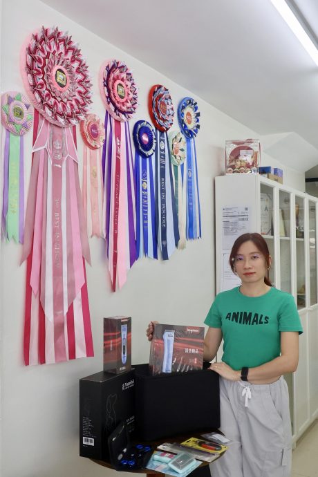 (15/10见报)大都会-特职世界 凌咏欣-宠物美容导师/14图