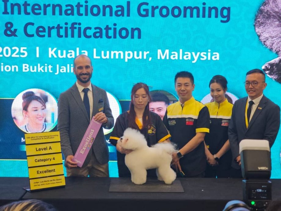 (15/10见报)大都会-特职世界 凌咏欣-宠物美容导师/14图