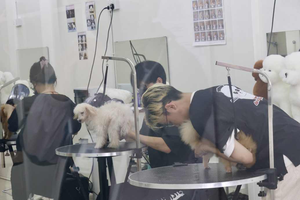 (15/10见报)大都会-特职世界 凌咏欣-宠物美容导师/14图