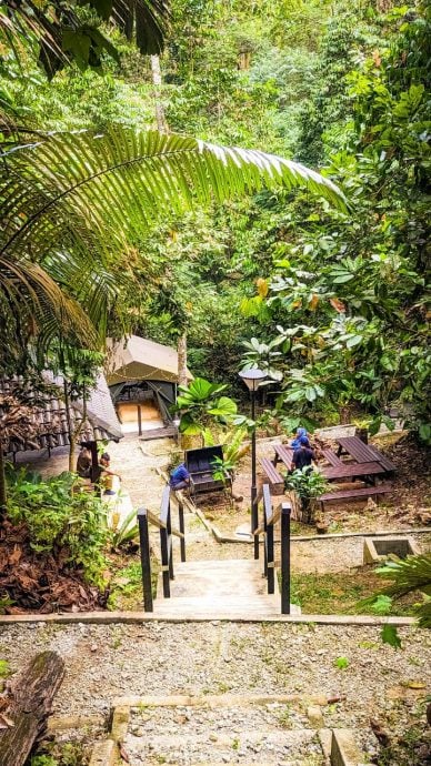 大都会:新兴旅游——松林营地