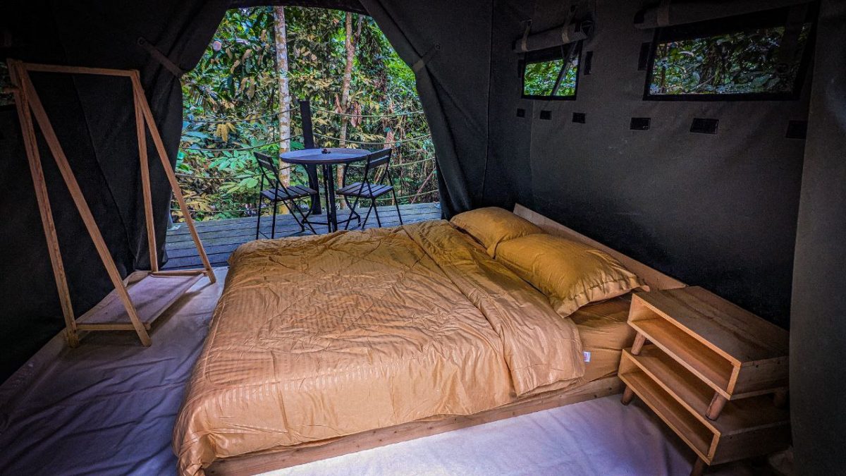 大都会:新兴旅游——松林营地