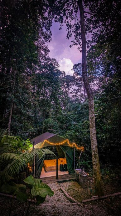 大都会:新兴旅游——松林营地