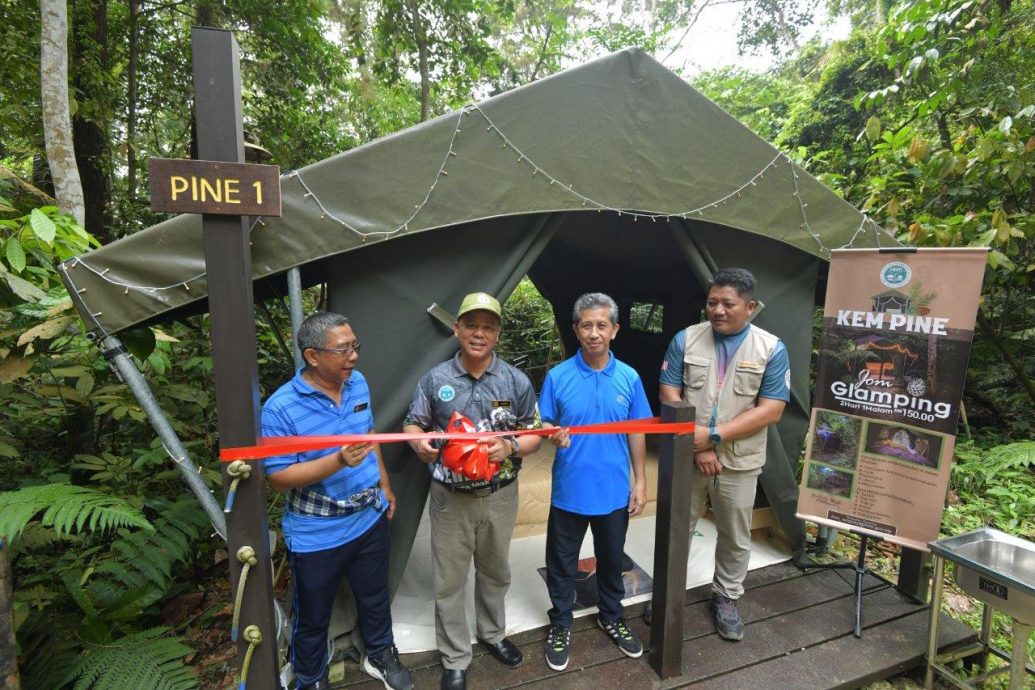 大都会:新兴旅游——松林营地