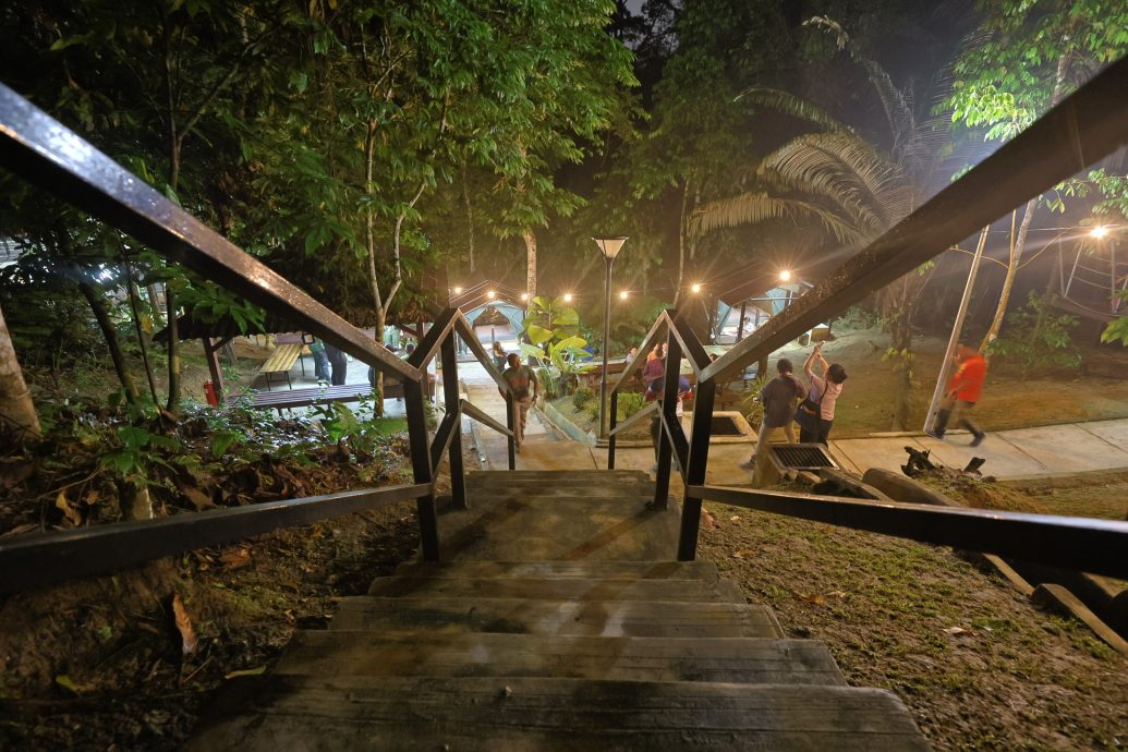 大都会:新兴旅游——松林营地