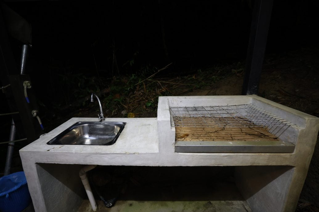 大都会:新兴旅游——松林营地