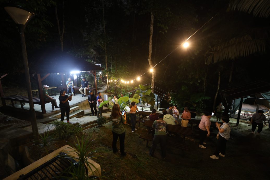 大都会:新兴旅游——松林营地