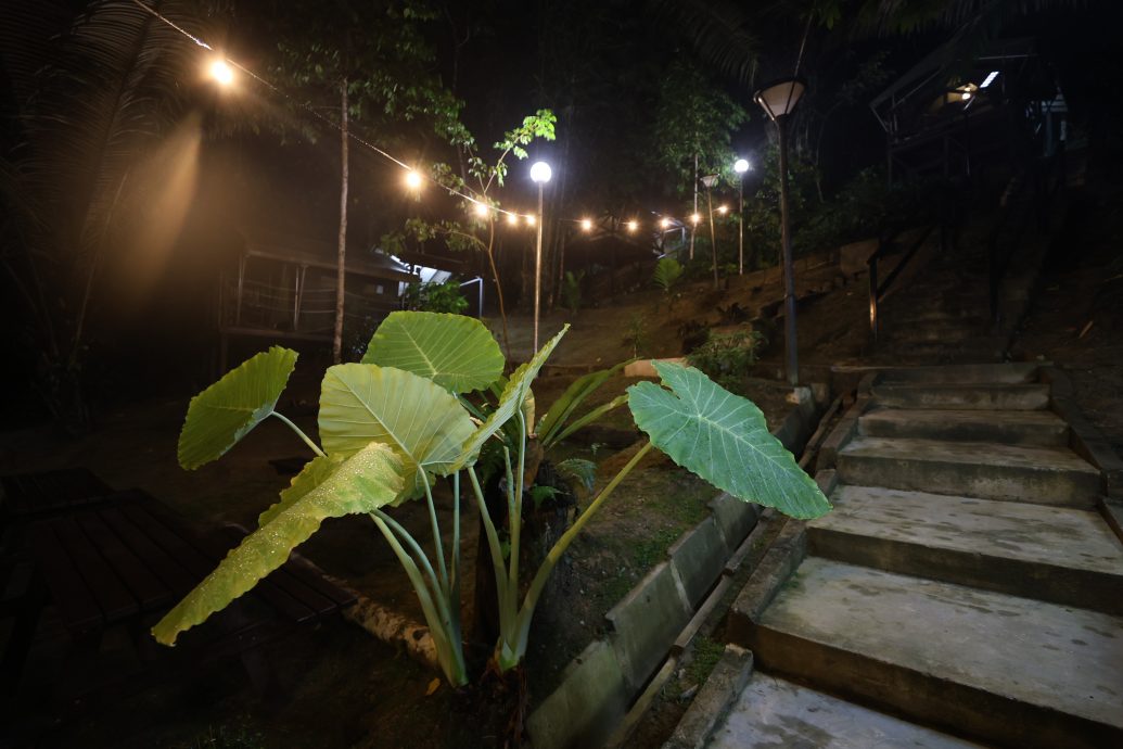 大都会:新兴旅游——松林营地