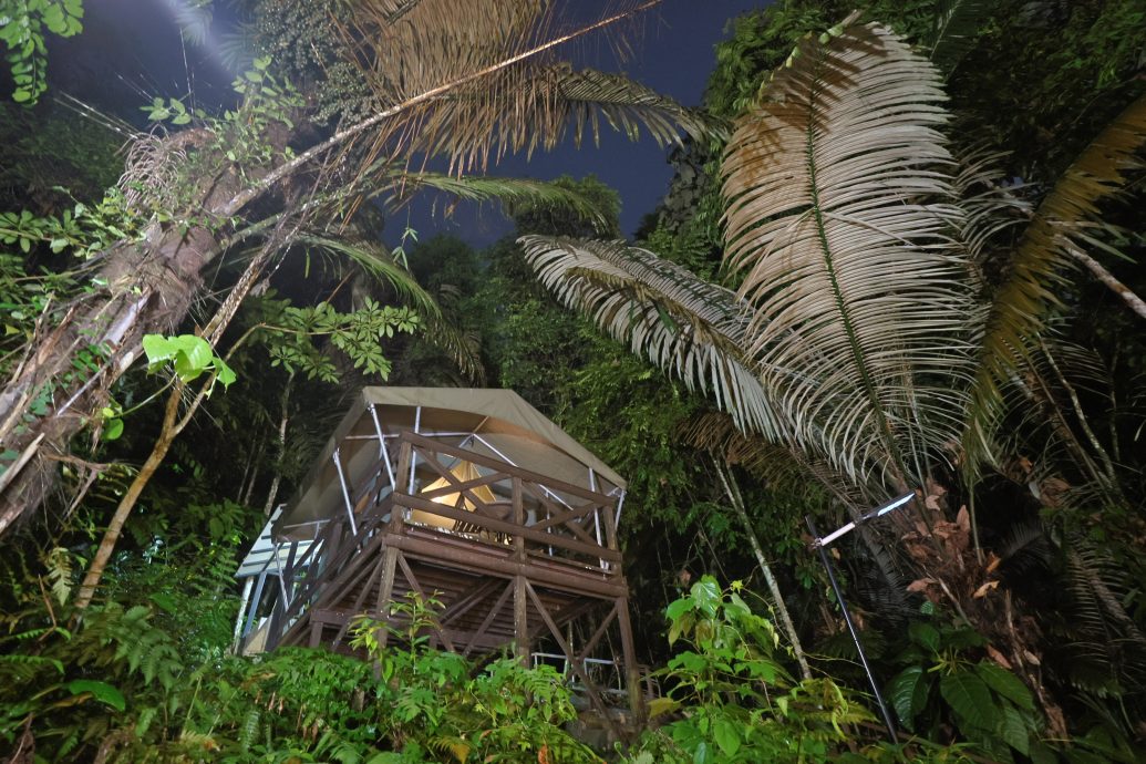 大都会:新兴旅游——松林营地