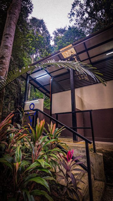 大都会:新兴旅游——松林营地