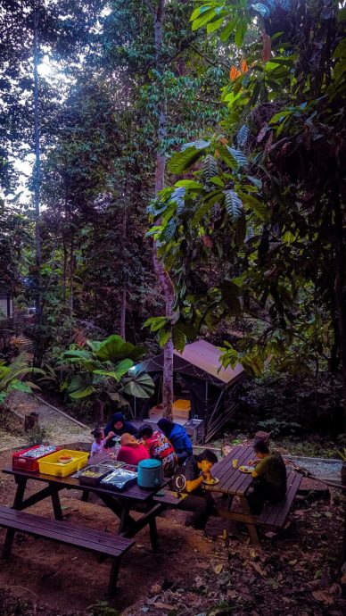 大都会:新兴旅游——松林营地