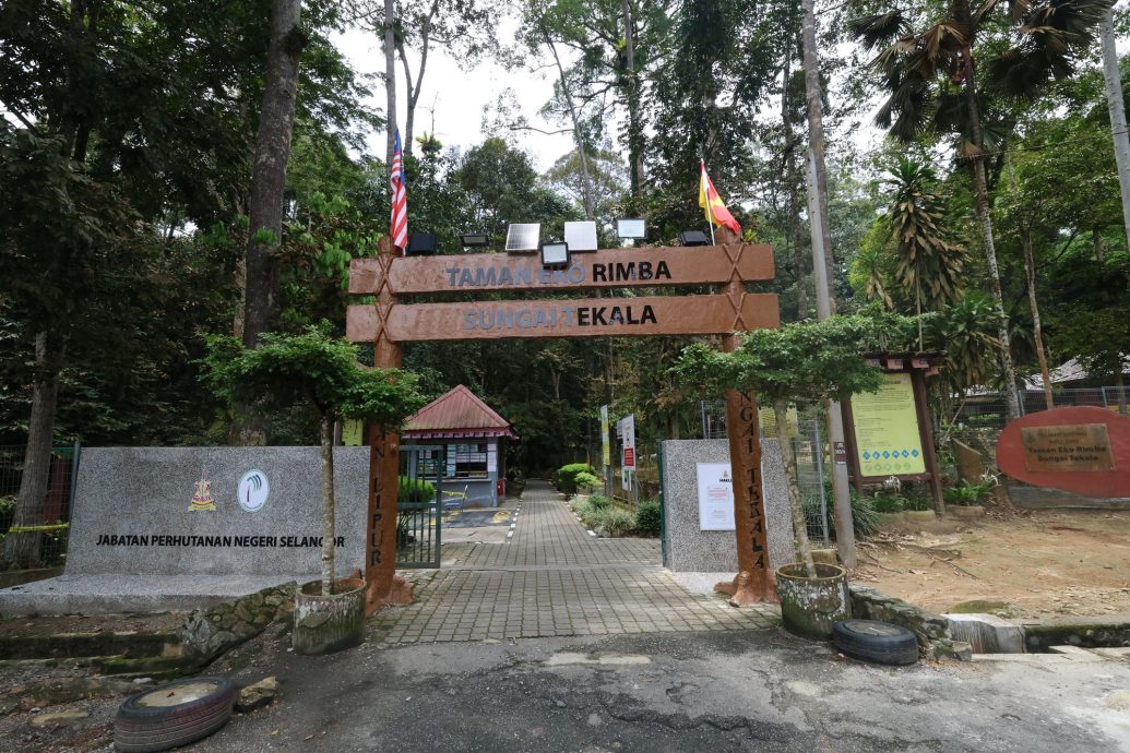 （3/10见报）大都会/半岛心旅行—乌冷县新村游