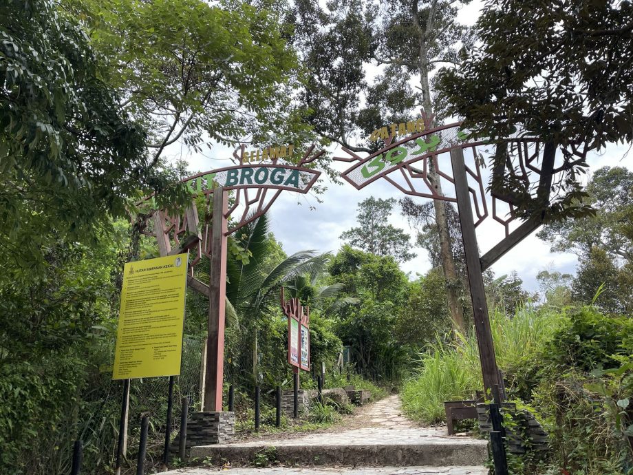 （3/10见报）大都会/半岛心旅行—乌冷县新村游