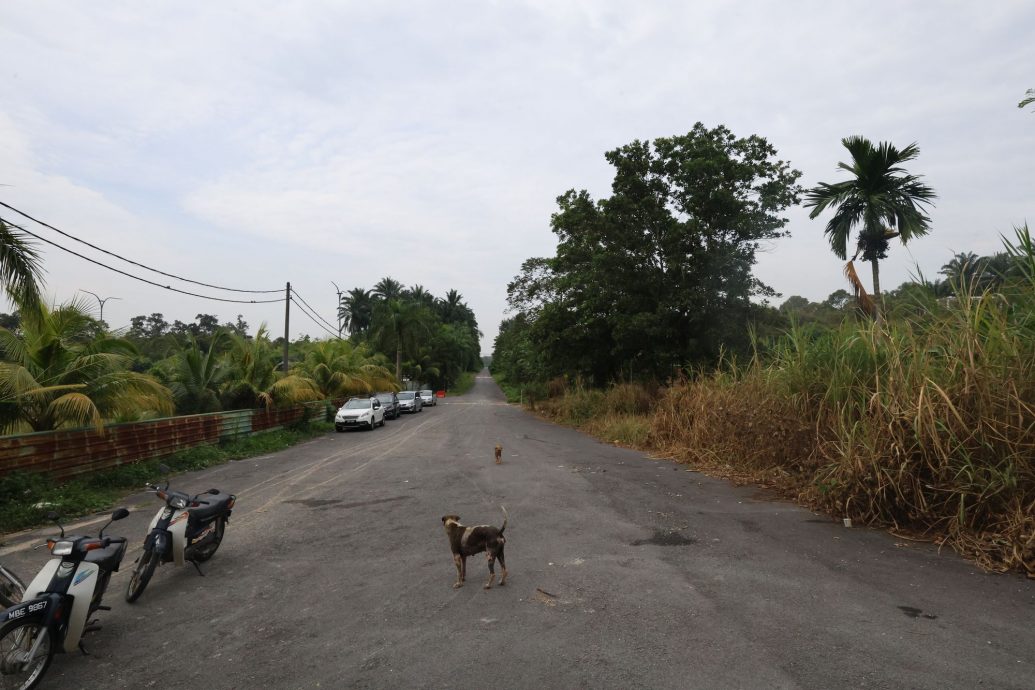 （3/10见报）大都会/半岛心旅行—乌冷县新村游