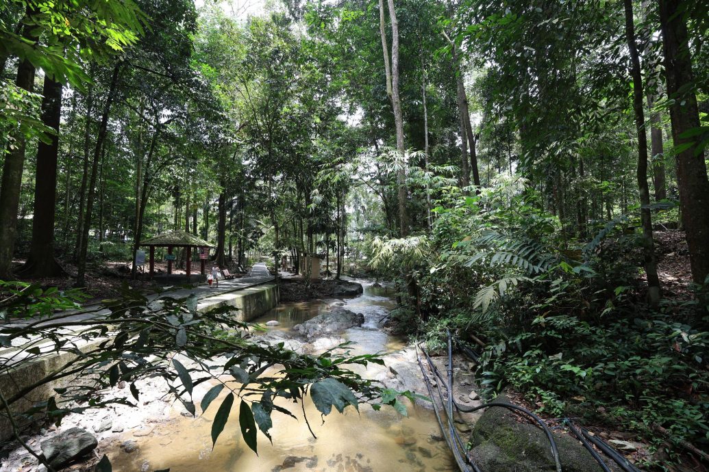 （3/10见报）大都会/半岛心旅行—乌冷县新村游