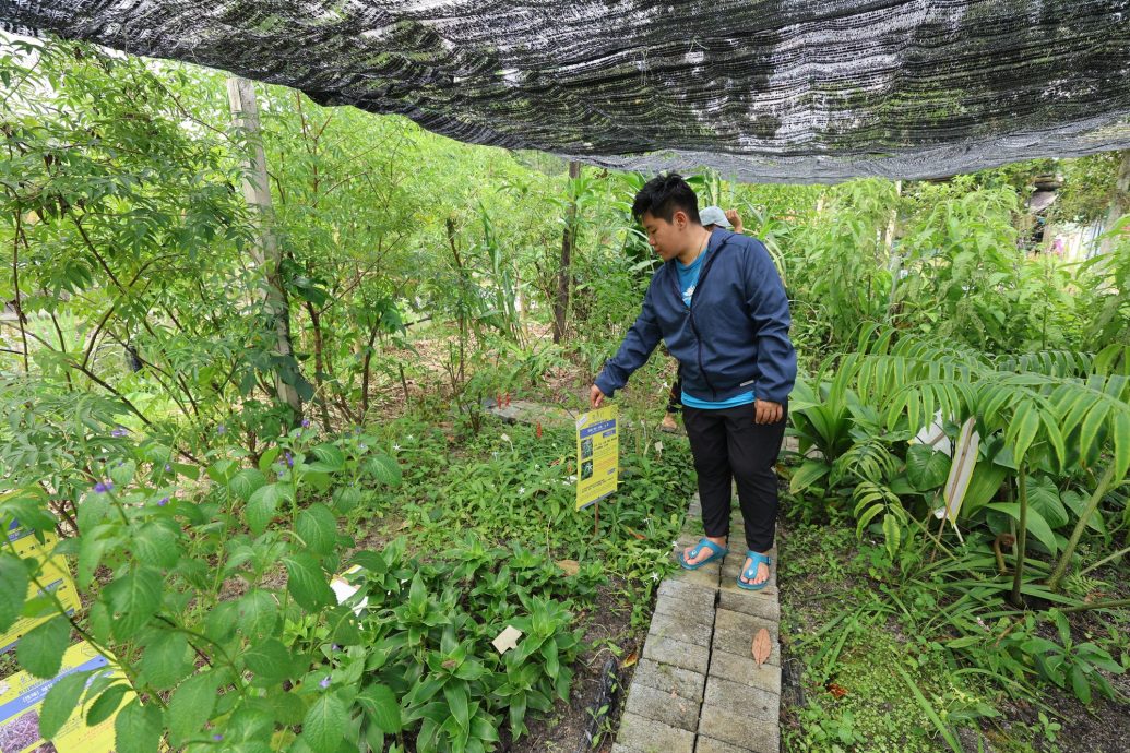（3/10见报）大都会/半岛心旅行—乌冷县新村游