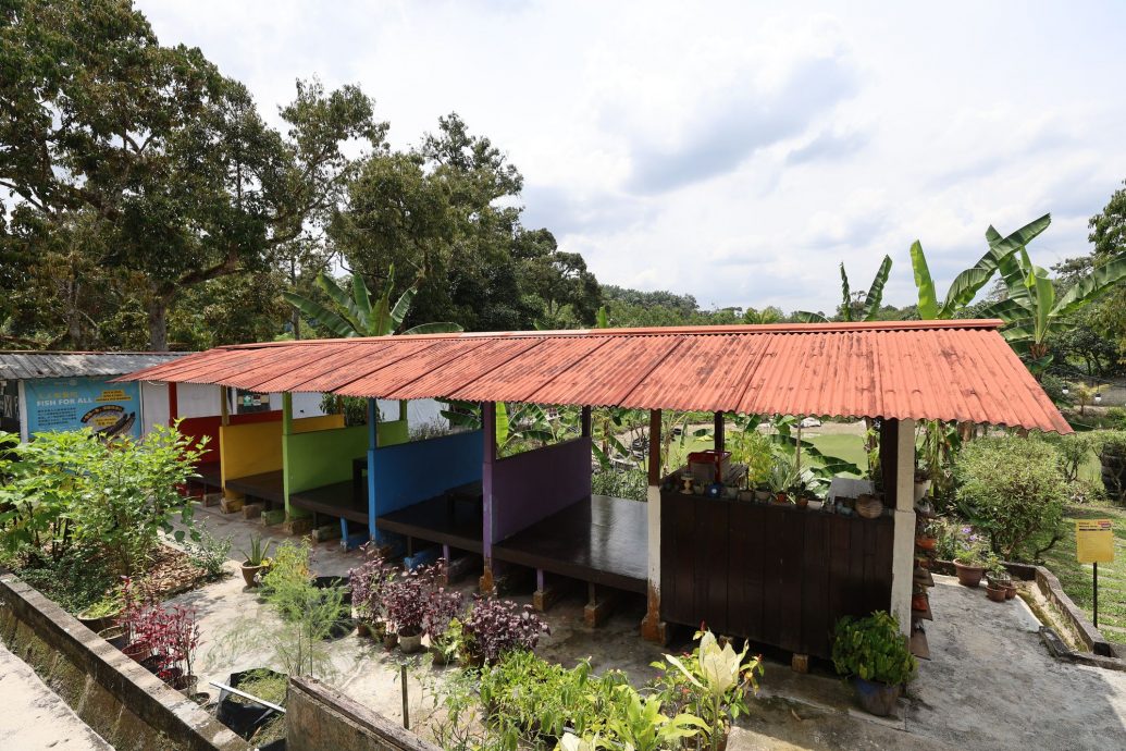 （3/10见报）大都会/半岛心旅行—乌冷县新村游