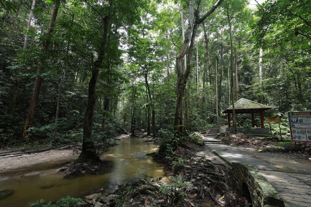 （3/10见报）大都会/半岛心旅行—乌冷县新村游