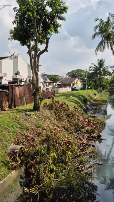 （古城版）大树倒下掉入沟渠