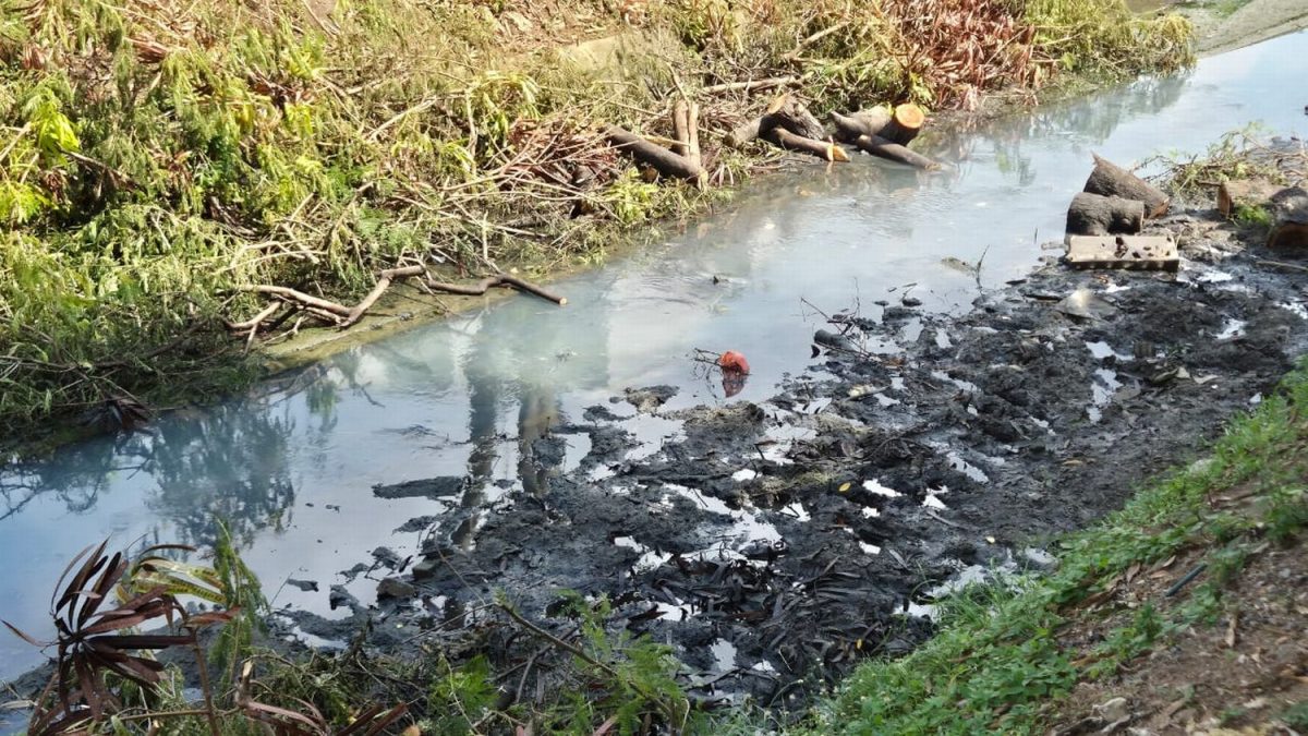 （古城版）大树倒下掉入沟渠