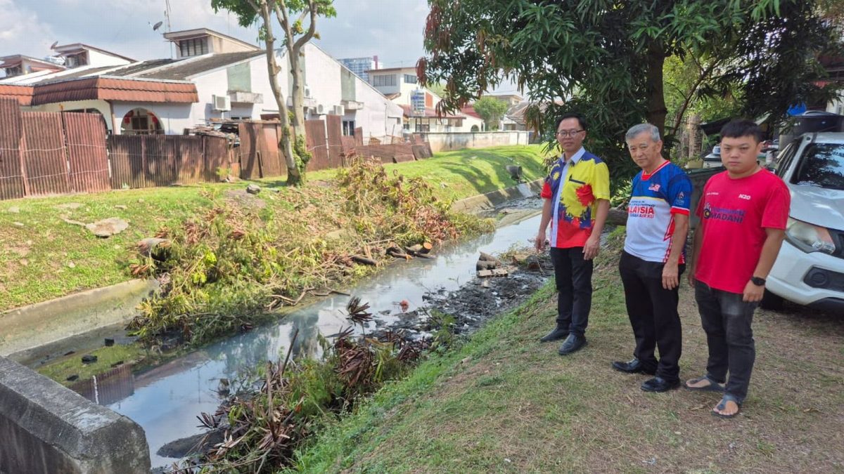 （古城版）大树倒下掉入沟渠