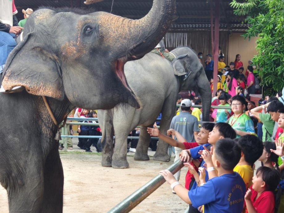 (古城版)峇章华小儿童节