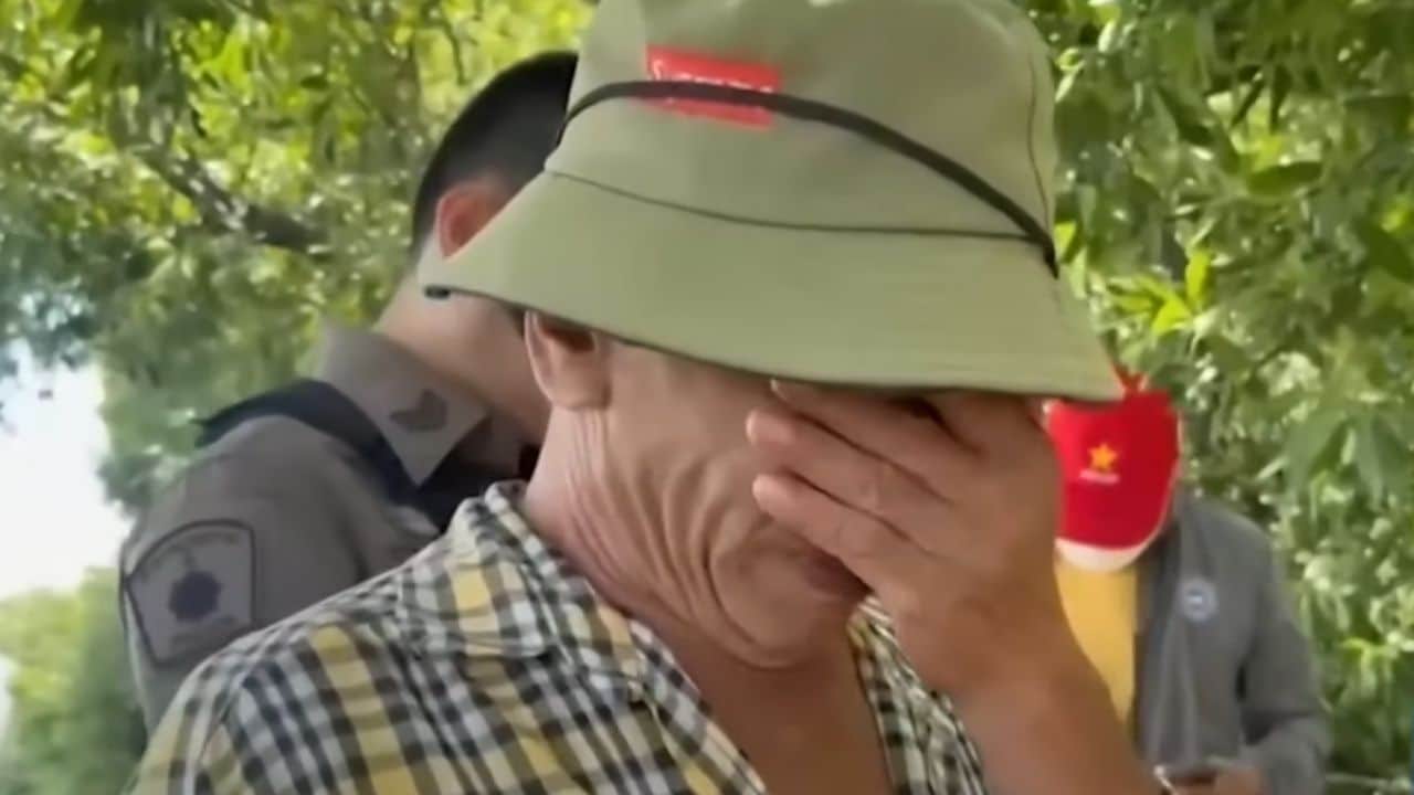 （国际/拼盘）蚂蚁夺命！男子修剪树木 遭蚂蚁咬伤身亡