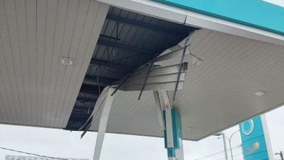 强风吹袭巴里文打   树倒广告牌板倒一片狼籍