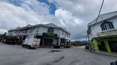 村镇记事 | 槟怡大道旁小镇　新邦安拔 华裔住户少 