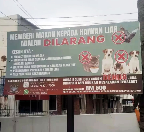 （大北马）市政厅禁投喂告示牌 李成淮：或早已拆除