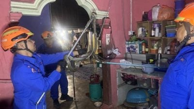 民宅又出现眼镜王蛇   这次藏屋顶缝隙