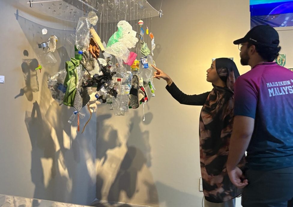 （大北马）水下奇境免费开放　六角海星、小丑鱼等你来看！