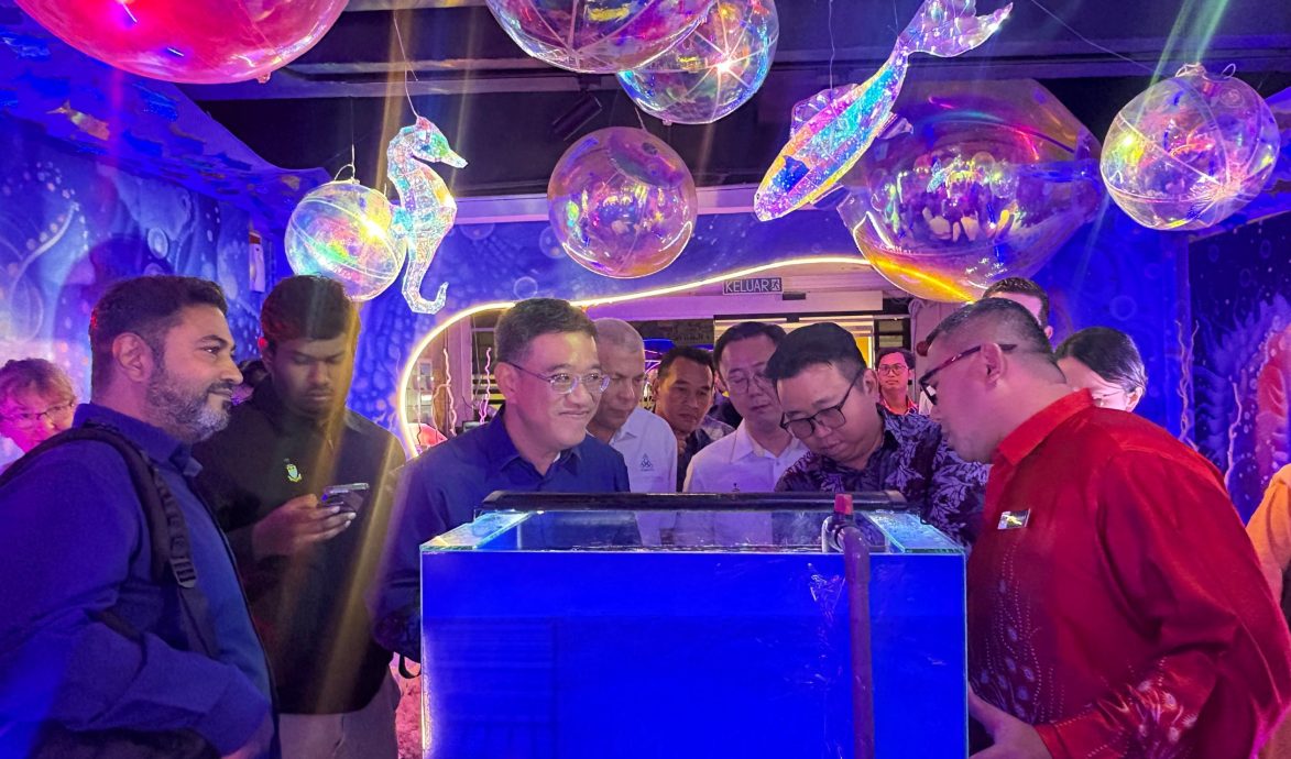 （大北马）水下奇境免费开放　六角海星、小丑鱼等你来看！