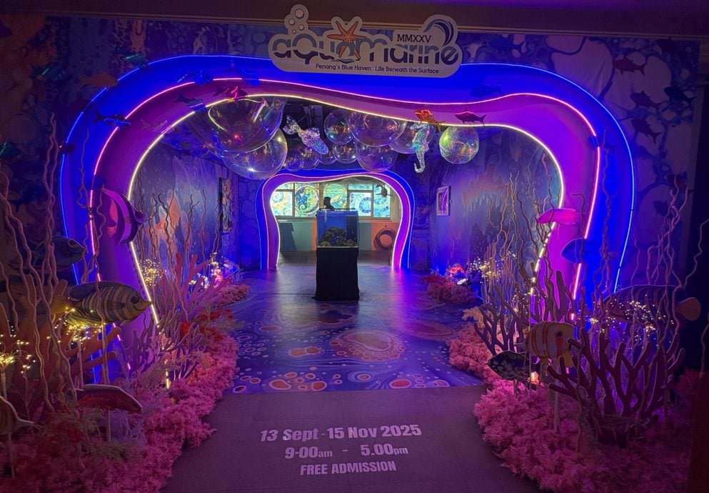 （大北马）水下奇境免费开放　六角海星、小丑鱼等你来看！