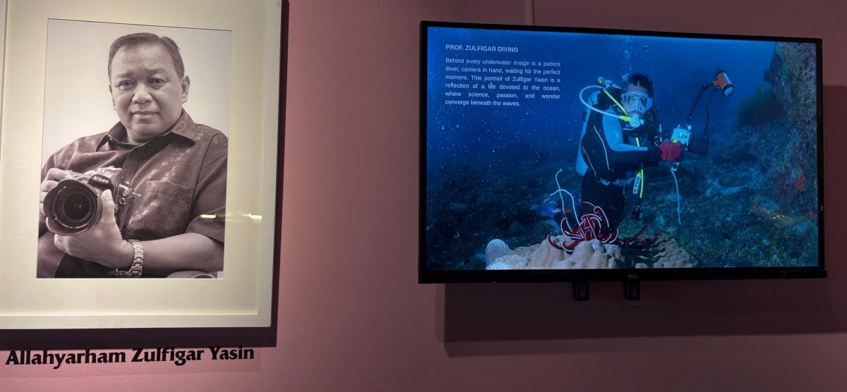 （大北马）水下奇境免费开放　六角海星、小丑鱼等你来看！