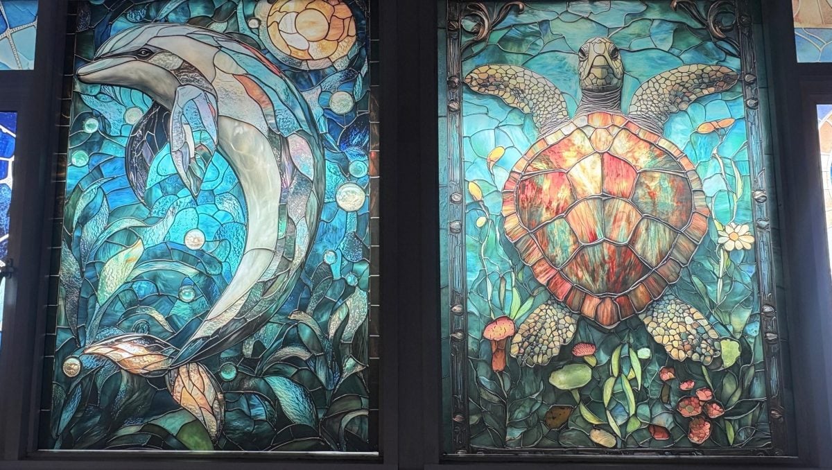 （大北马）水下奇境免费开放　六角海星、小丑鱼等你来看！