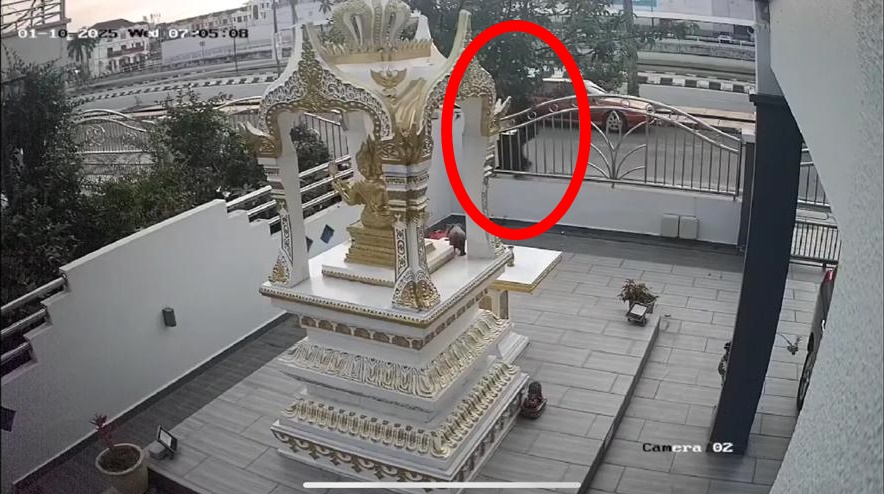 (大北马)猖狂!蒙面贼光天化日盗走神明香炉