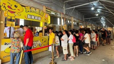 甲抛峇底斗母宫3天卖了2万个   “黄面居”再掀抢购潮