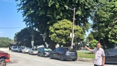 余保凭：定期检验修剪   隆市局应重视老树问题