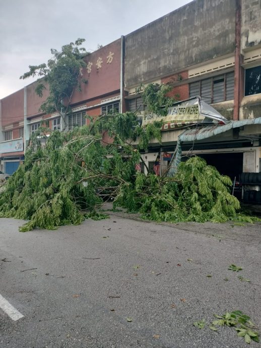 （已签发）柔：中江午后风雨劫   房屋车辆被砸   MyKiosk搬家